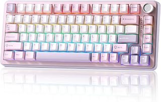 YUNZII B75 PRO Wireless Mechanical Keyboard,75% Gaming Keyboard Gasket Hot Swap Custom with Knob,Pre-lubed Switches RGB,Bluetooth/Type-C/2.4G (Cocoa Cream V2 Switch,Purple)