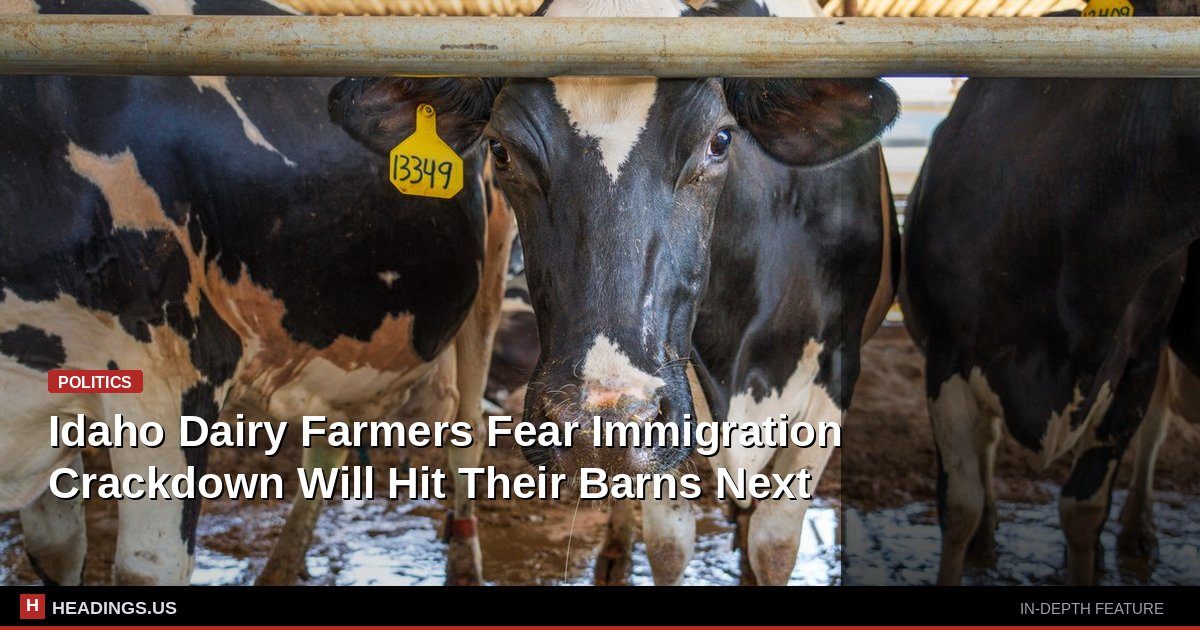 Idaho Dairy Farmers Fear Immigration Crackdown Will Hit Their Barns Next