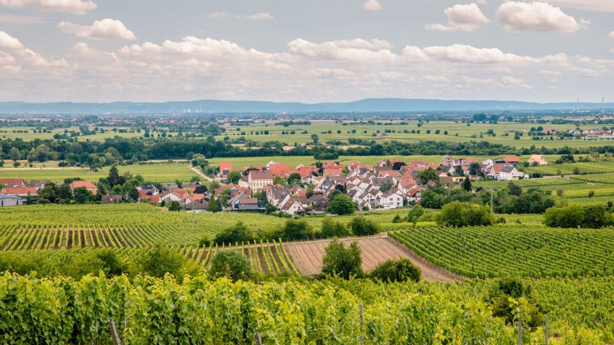 Chefs celebrating three Michelin stars at restaurant in German wine town Deidesheim