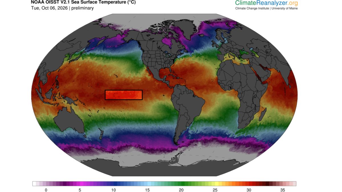 Central Pacific Ocean Hits Record Temperature, Scientists Warn of Unprecedented El Niño Pattern