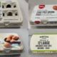What Went Wrong? Major Egg Recall Sparks Nationwide Salmonella Outbreak