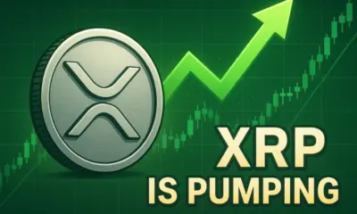 XRP Hits Six-Month High at $3.35 on ETF and Legal Optimism