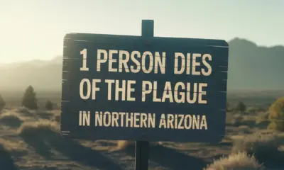 Arizona Resident Dies of Confirmed Pneumonic Plague Infection — What to Know