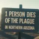 Arizona Resident Dies of Confirmed Pneumonic Plague Infection — What to Know